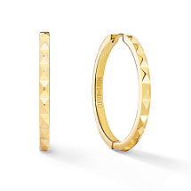 Серьги Gold Coeur de Lion 0135/23-1600