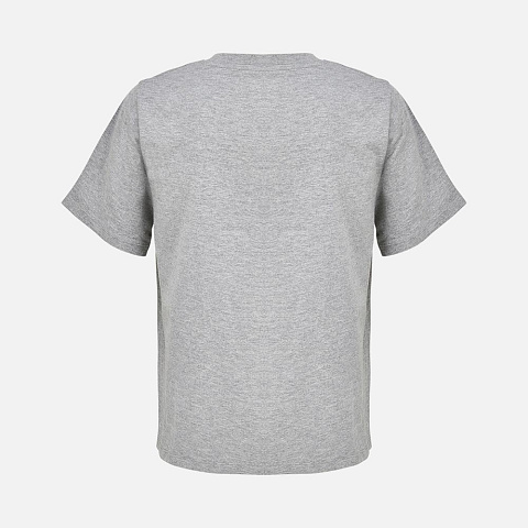 Футболка женская Legend Women, серый меланж - рис 3.