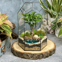 Сад в стекле Тропический Рай