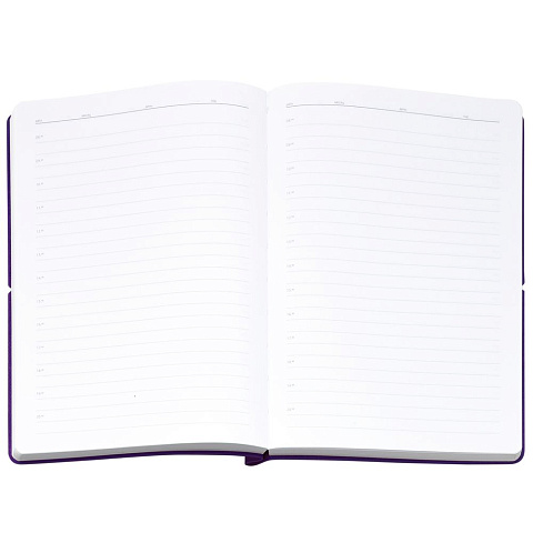 Ежедневник Flexpen Bright, недатированный, фиолетовый - рис 9.