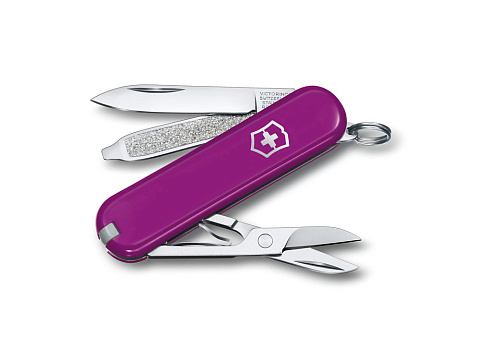 Нож-брелок VICTORINOX Classic SD Colors "Tasty Grape", 58 мм, 7 функций, фиолетовый