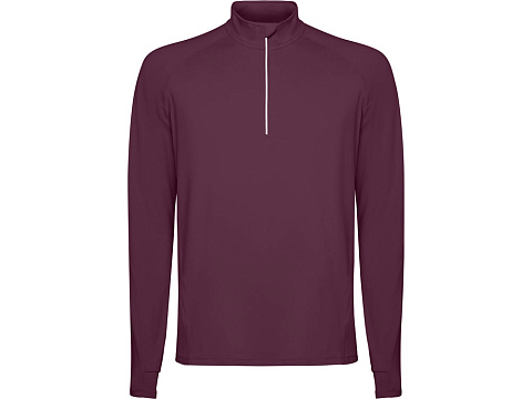 Лонгслив Estambul мужской, сливовый