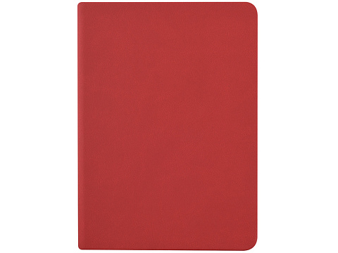 Ежедневник недатированный А6+ Megapolis Color, красный - рис 4.