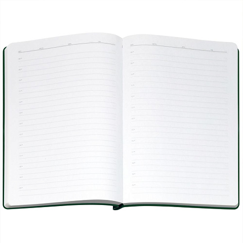 Ежедневник Flexpen Bright, недатированный, зеленый - рис 9.