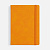 Ежедневник Urban Hard, недатированный, оранжевый - миниатюра - рис 2.
