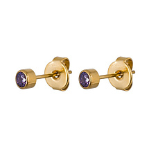 Пусеты Cubic zirconia Amethyst Fiore Luna SWE0128 AM G