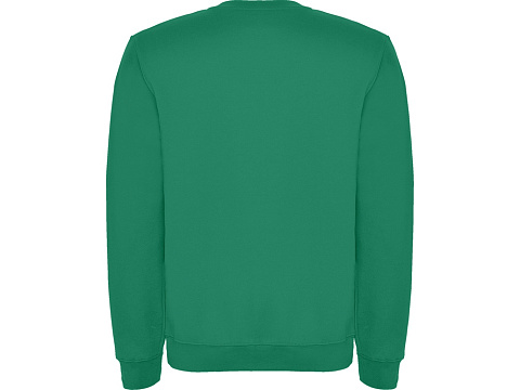 Свитшот с начесом Clasica унисекс, зеленый - рис 2.