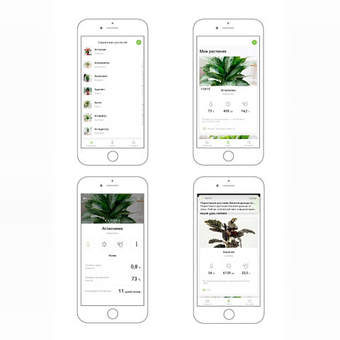 myPot с растением Монстера - рис 3.