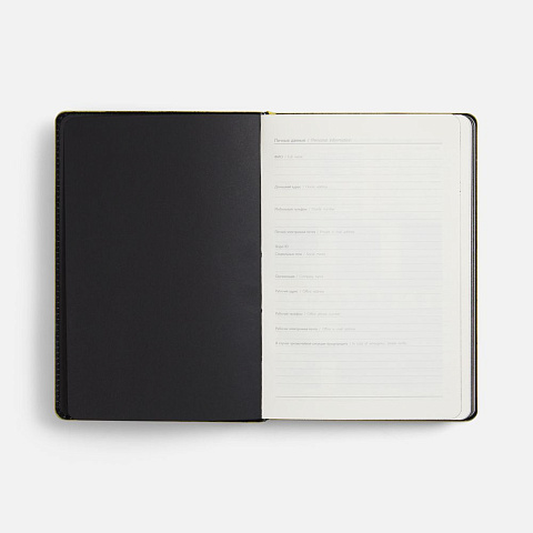 Ежедневник Alanis, недатированный, черный c желтым - рис 8.