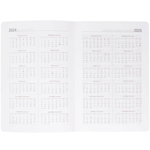 Ежедневник Basis, датированный, оранжевый - рис 5.