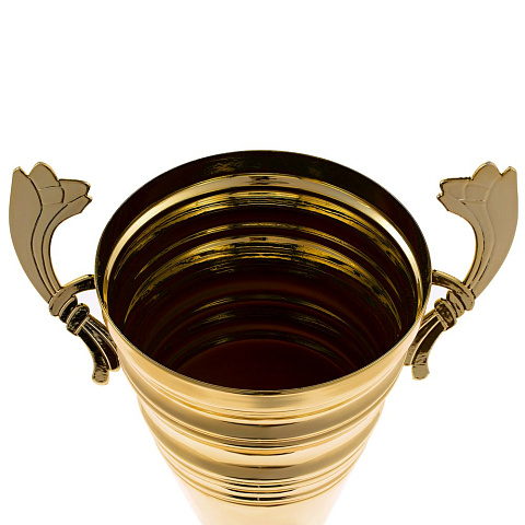 Кубок Recordsman, золотистый - рис 4.