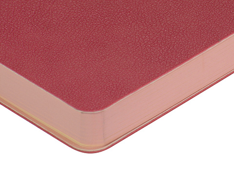 Ежедневник А5 датированный Boston 2027, розовый - рис 4.