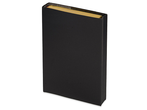 Ежедневник полудатированный портфолио А5  PROFY черный - рис 9.