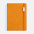 Ежедневник Urban Metal, недатированный, оранжевый - миниатюра - рис 2.