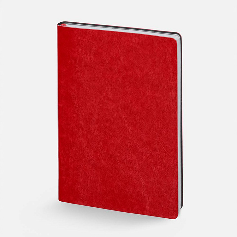 Набор Nebraska Flex, красный с серебристым - рис 4.